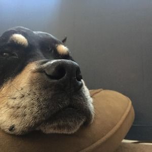 Meet your Posher, Jon